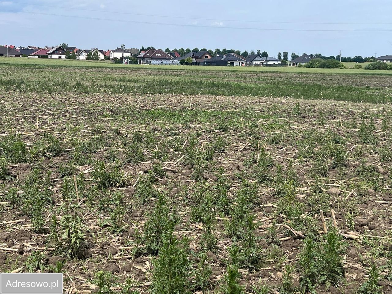 Działka rolna Strzelce Krajeńskie, ul. Grodziska. Zdjęcie 7