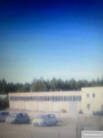 Hala/magazyn Krasnystaw, ul. Lwowska. Zdjęcie 1