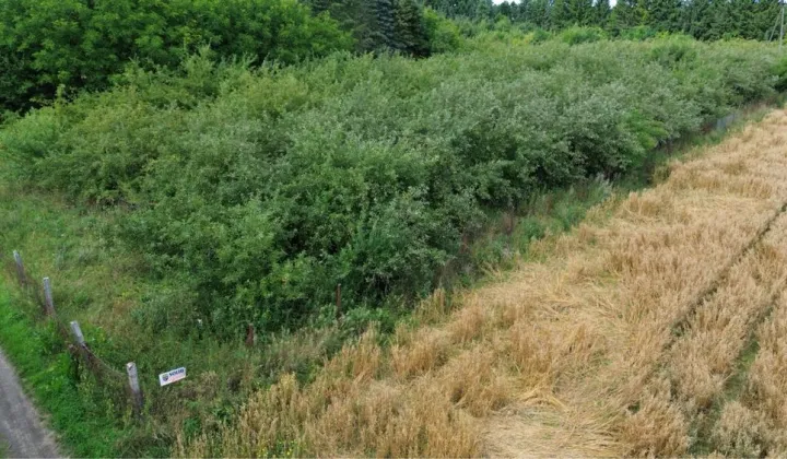 Działka rolno-budowlana Kępa Świeszyńska