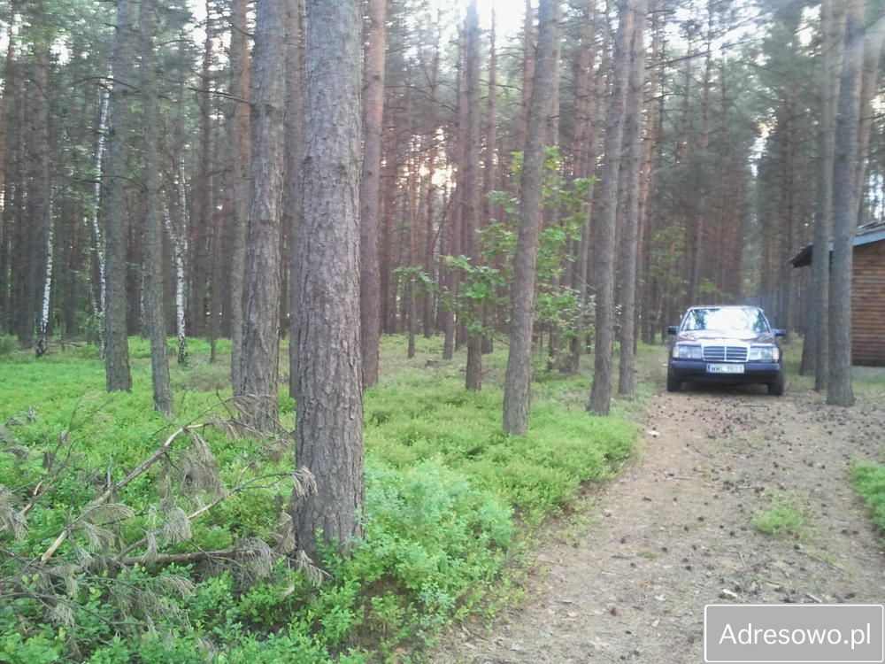 Działka rekreacyjna Zamienie. Zdjęcie 7