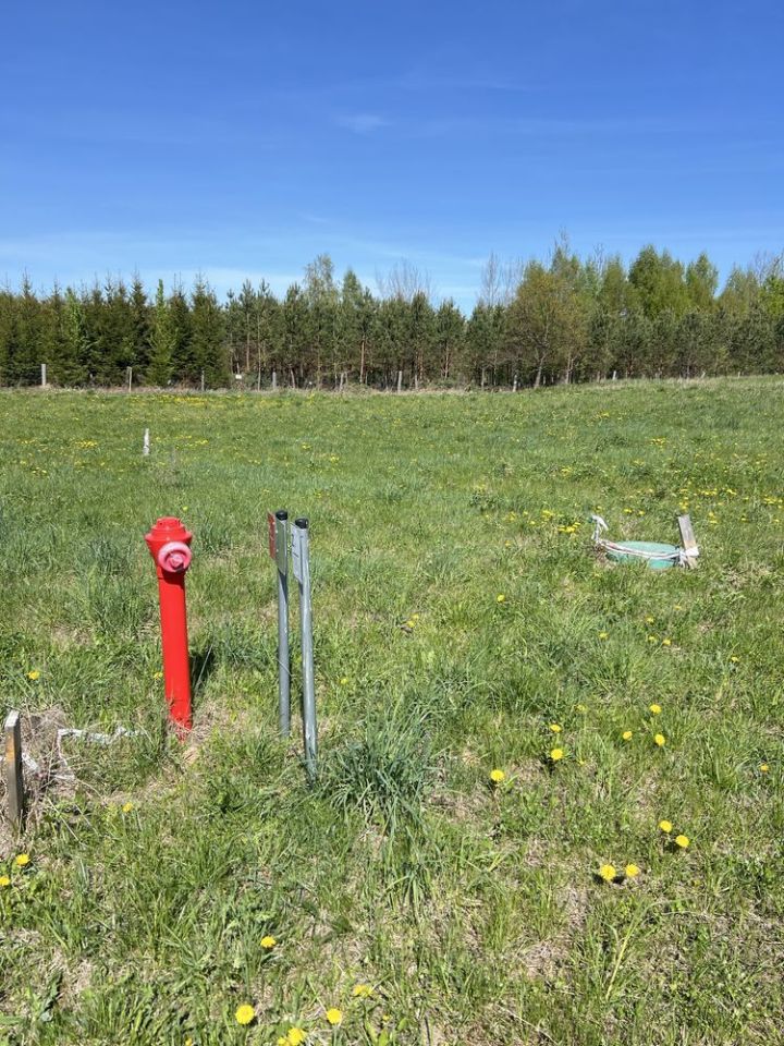 Działka rolno-budowlana Brajniki. Zdjęcie 3