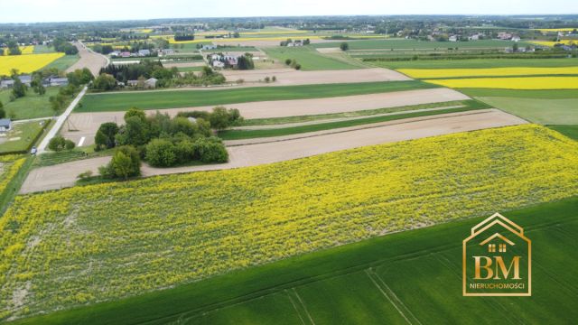 Działka siedliskowa Płouszowice-Kolonia. Zdjęcie 8