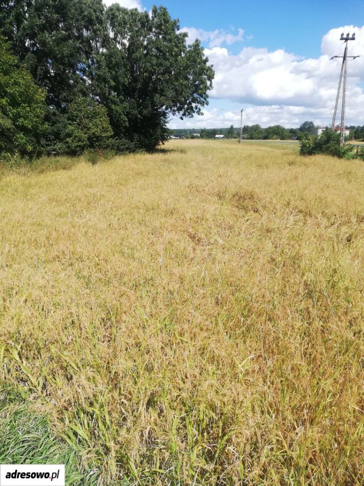 Działka budowlana Ostrowiec Świętokrzyski, ul. Kanałowa. Zdjęcie 5