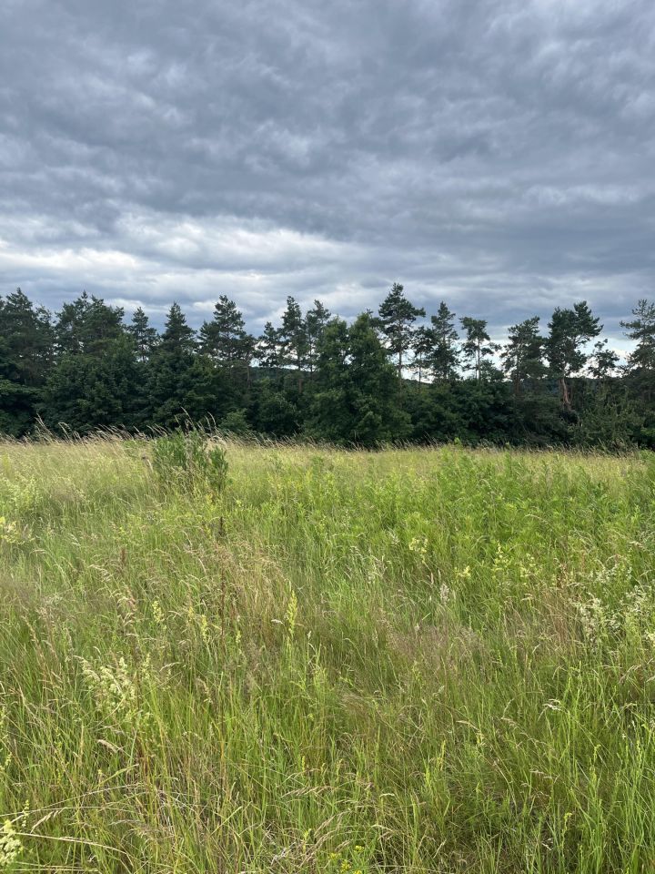 Działka budowlana Świebodzice, ul. Zimny Dwór. Zdjęcie 2