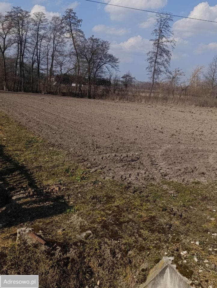 Działka budowlana Falki. Zdjęcie 13