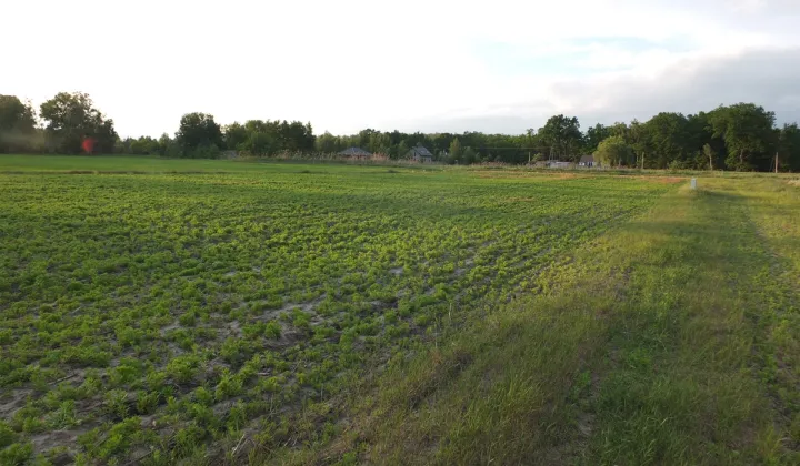 Działka budowlana Janów Ruszki