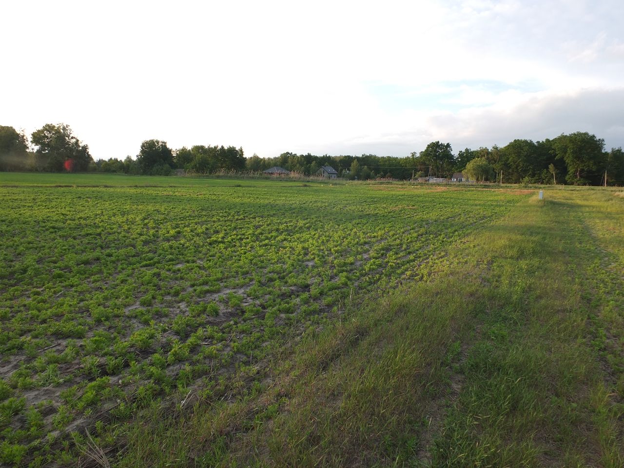 Działka budowlana Janów Ruszki. Zdjęcie 1