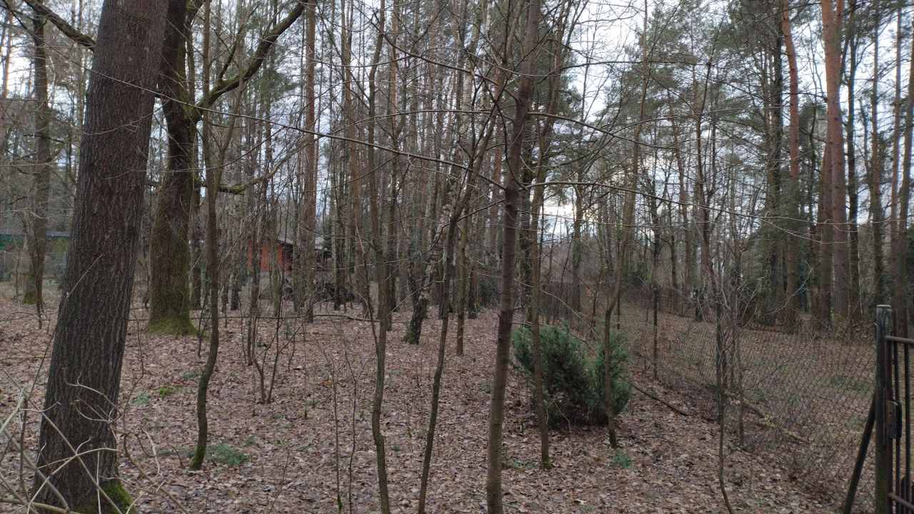 Działka budowlana Zofiówka, ul. Cmentarna. Zdjęcie 15