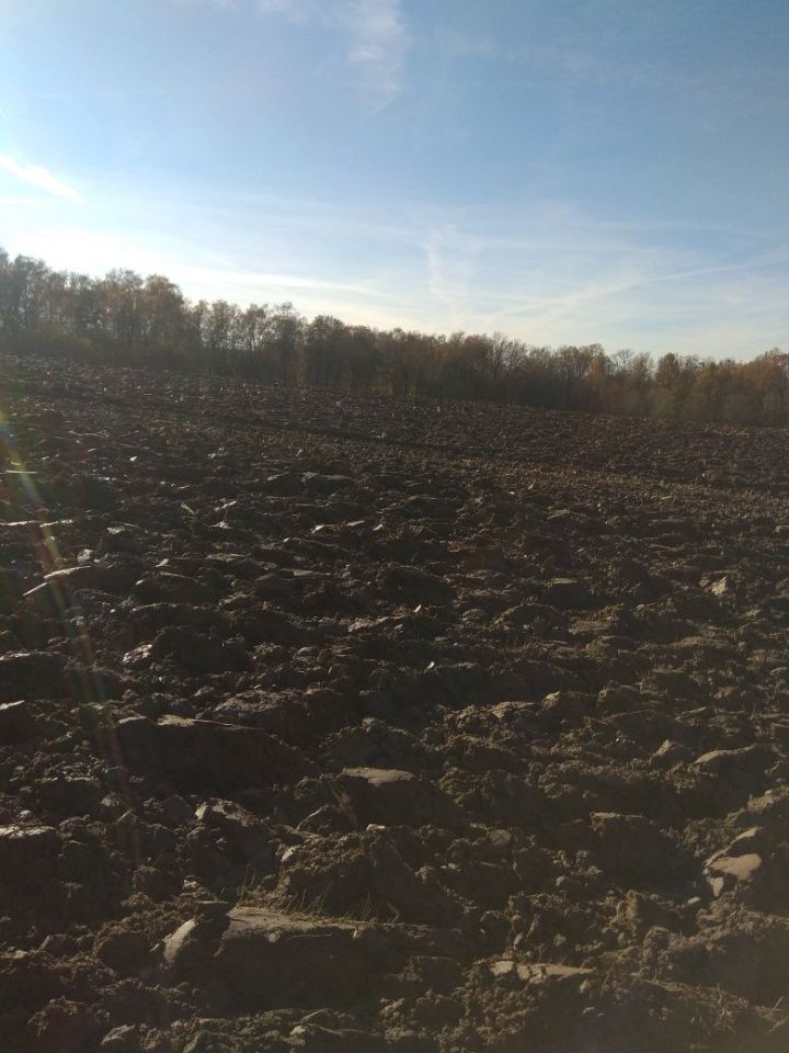 Działka rolna Wieprz. Zdjęcie 2