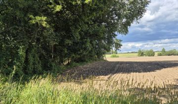 Działka rolno-budowlana Słomków Bażantarnia, ul. Główna