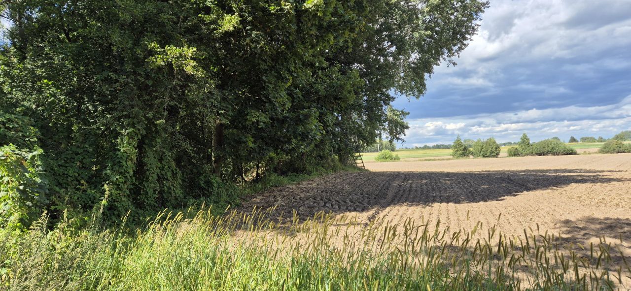 Działka rolno-budowlana Słomków Bażantarnia, ul. Główna. Zdjęcie 2
