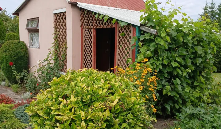 Działka rod Chełm Dyrekcja, ul. Przemysłowa