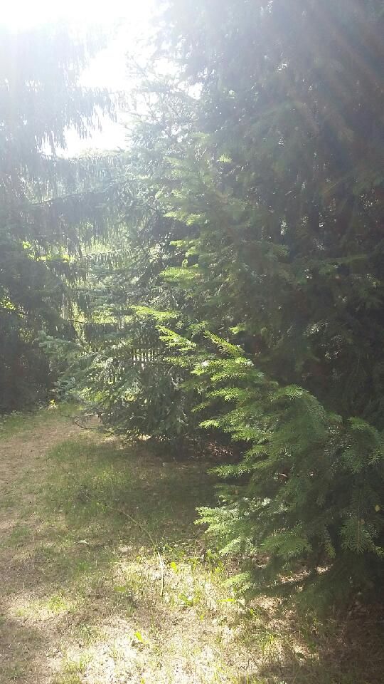 inny, 5 pokoi Sady Górne, Sady Górne. Zdjęcie 10