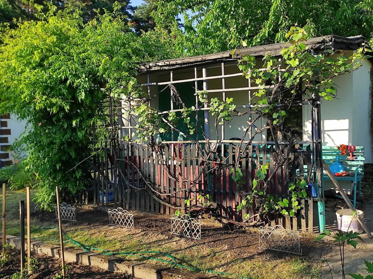 Działka rod Wilkanowo. Zdjęcie 5