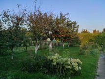 Działka rod Toruń. Zdjęcie 2