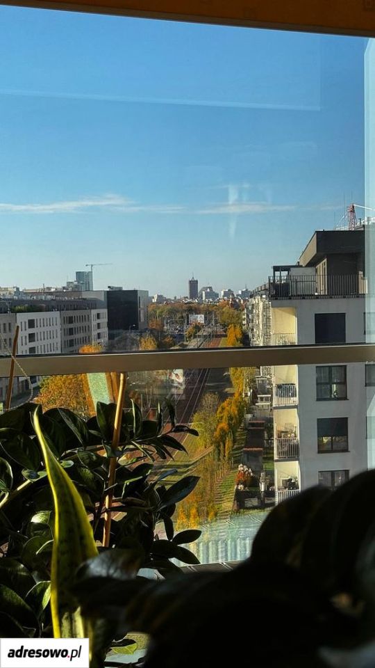 Mieszkanie 3-pokojowe Poznań Nowe Miasto. Zdjęcie 16