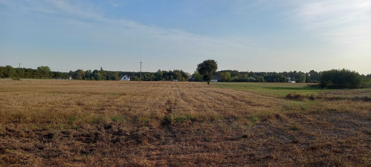 Działka rolna Nowe Załubice, ul. Bratnia. Zdjęcie 3