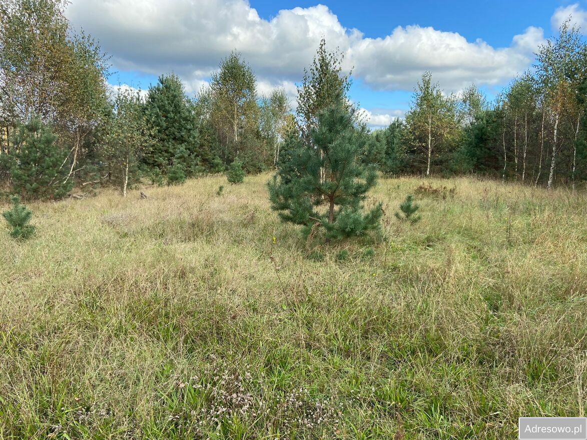 Działka inwestycyjna Bożepole Małe. Zdjęcie 5