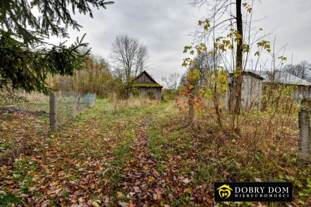 siedlisko, 3 pokoje Knorydy. Zdjęcie 19