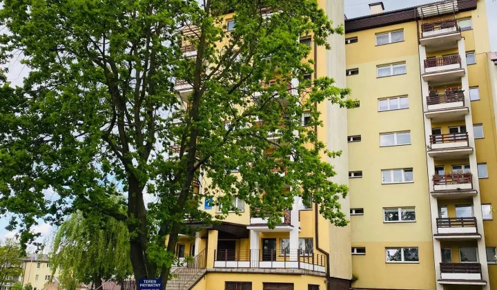 Mieszkanie 1-pokojowe Starachowice