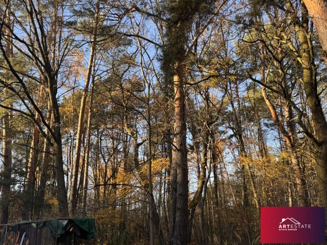 Działka budowlana Rąbień, ul. Rojna. Zdjęcie 20