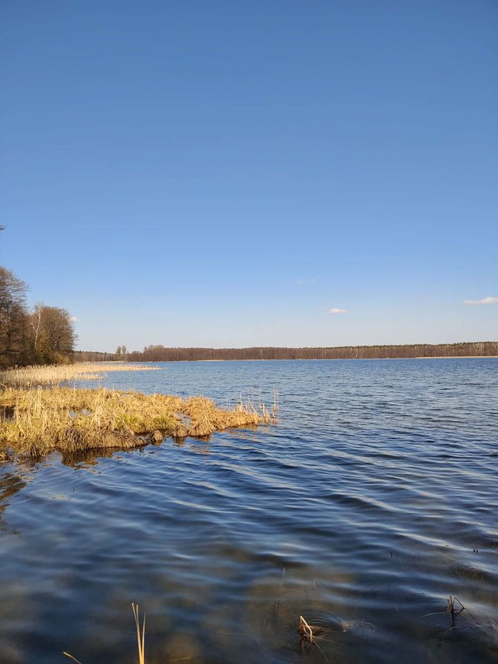 Działka budowlana Zawady, brak. Zdjęcie 8