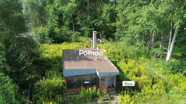 Lokal Pasternik. Zdjęcie 1