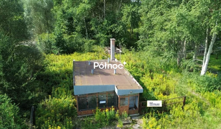 Lokal Pasternik
