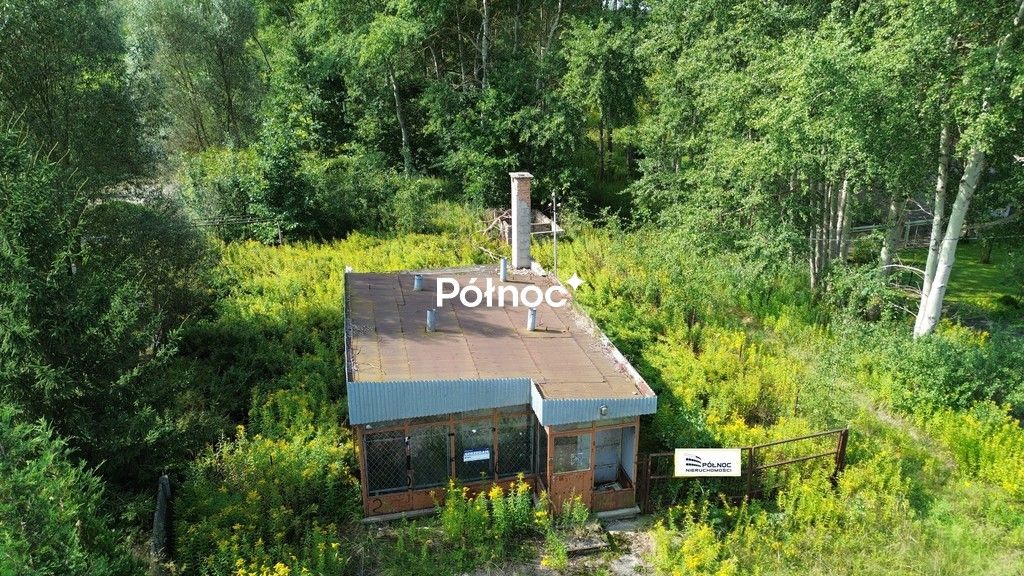 Lokal Pasternik. Zdjęcie 1