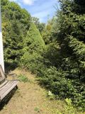Działka rod Gdynia Mały Kack. Zdjęcie 1