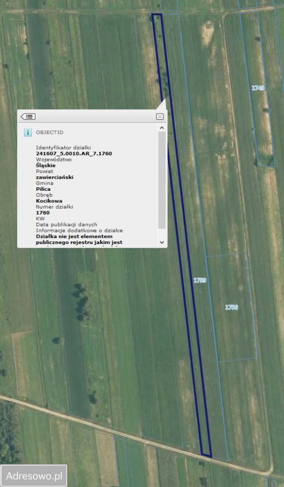 Działka rolna Kocikowa. Zdjęcie 3