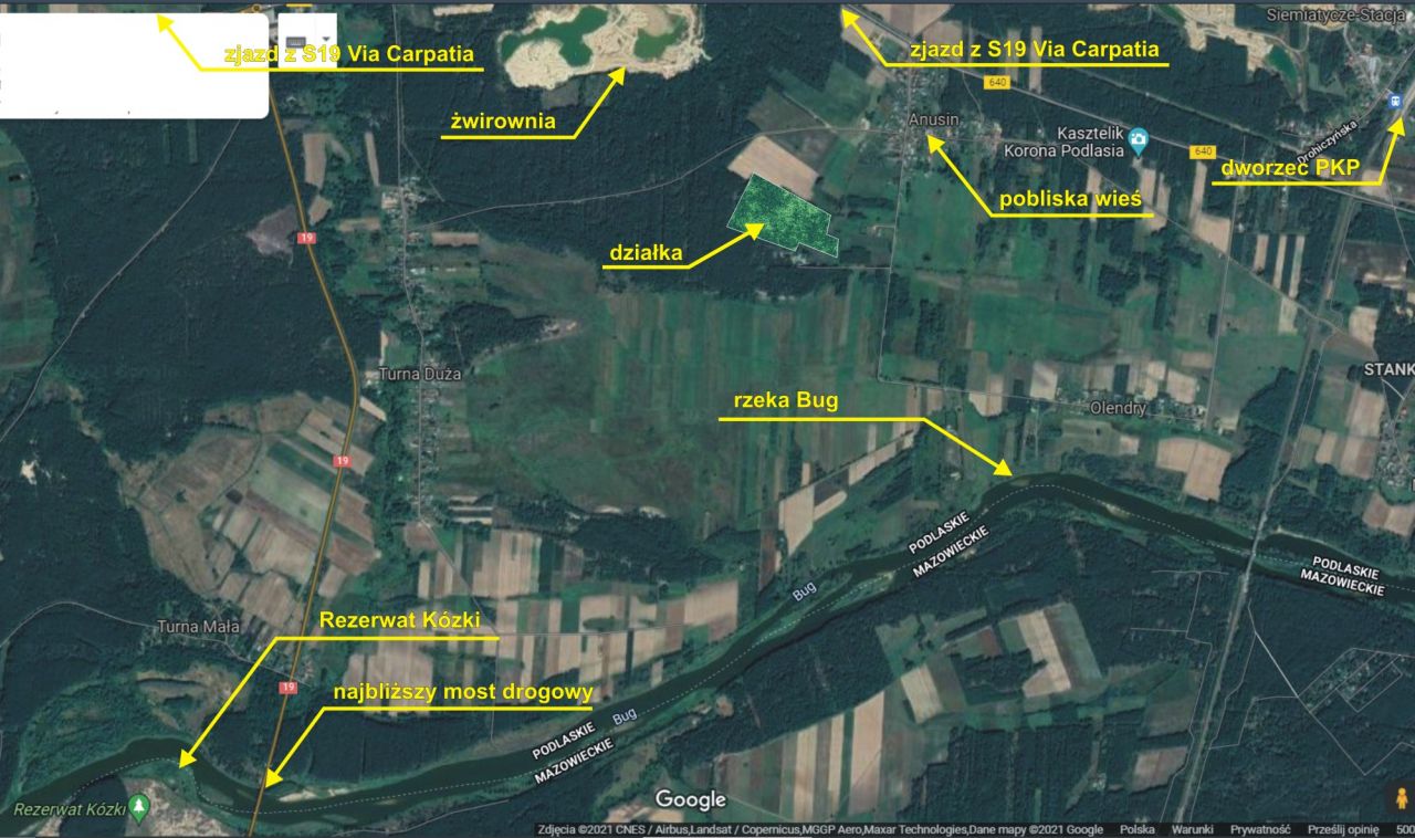 Działka leśna Turna Duża. Zdjęcie 54