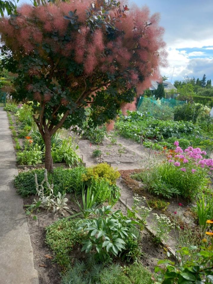 Działka rod Skierniewice. Zdjęcie 3