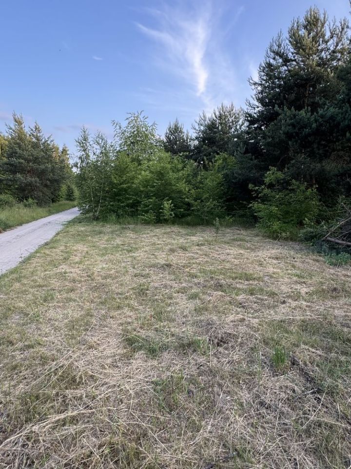 Działka rolna Piotrkowice. Zdjęcie 4