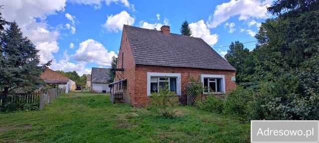 Działka rolno-budowlana Barnówko. Zdjęcie 1