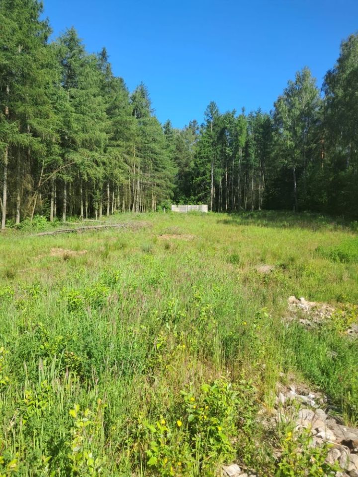 Działka budowlana Mierzeszyn