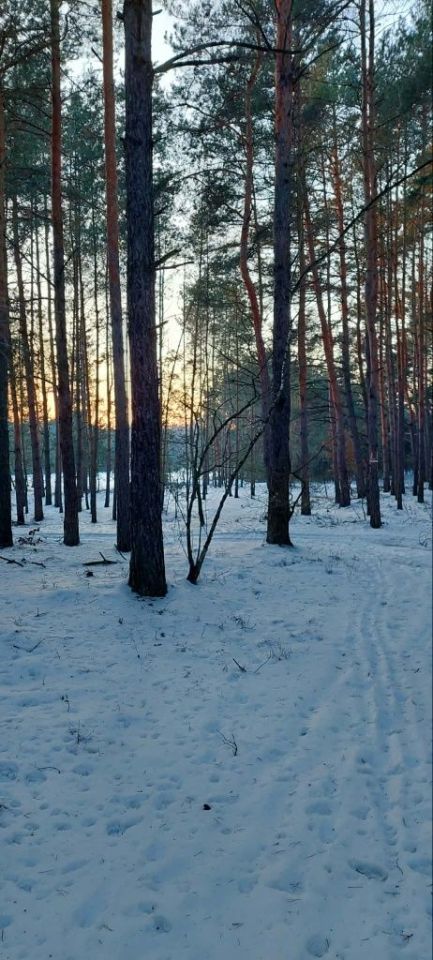 Działka rolna Łokietnica. Zdjęcie 3