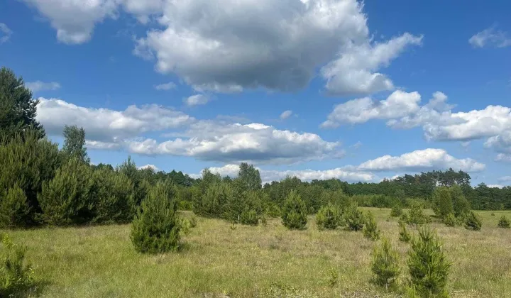 Działka budowlana Borki