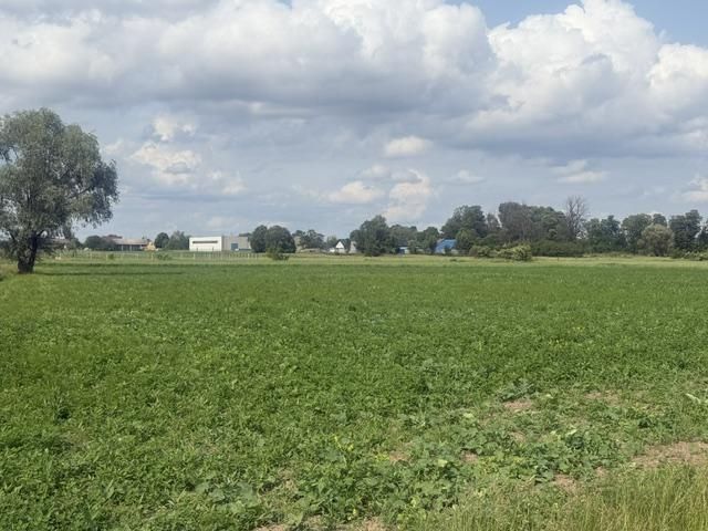 Działka rolna Brwinów, ul. Łąkowa. Zdjęcie 1