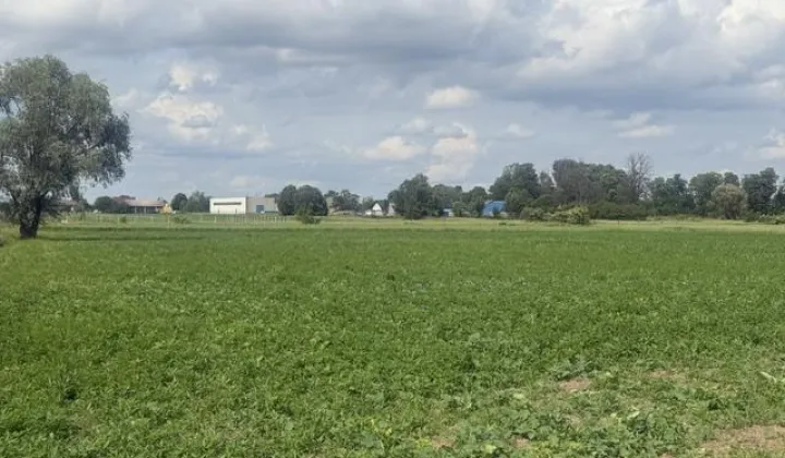 Działka rolna Brwinów, ul. Łąkowa