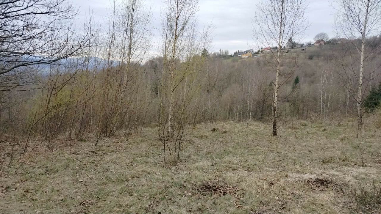 Działka rolno-budowlana Kocierz Moszczanicki, ul. Gronikowa. Zdjęcie 4