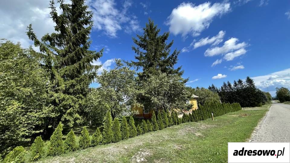 gospodarstwo Sarniak. Zdjęcie 3