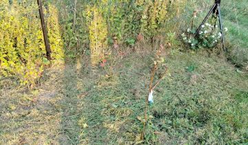 Działka rod Słupsk, ul. Gdańska