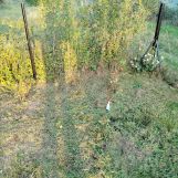 Działka rod Słupsk, ul. Gdańska. Zdjęcie 1