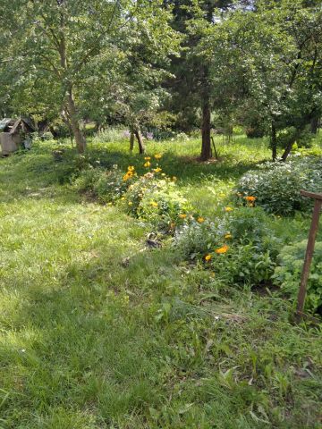 Działka siedliskowa Zagórze. Zdjęcie 1