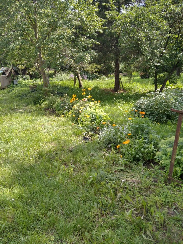 Działka siedliskowa Zagórze