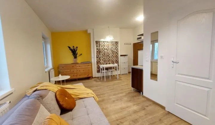 Mieszkanie 1-pokojowe Wrocław Dąbie, ul. Górnicza