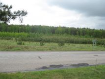 Działka siedliskowa Studniczka. Zdjęcie 3