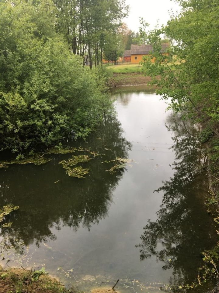 dom wolnostojący Gorzeszyn. Zdjęcie 5