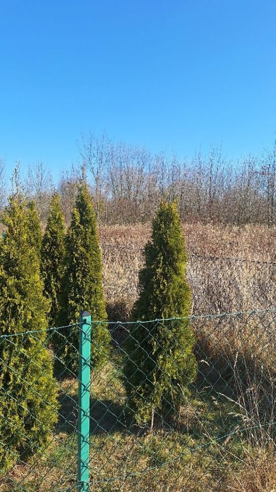 Działka budowlana Wojszyn. Zdjęcie 2